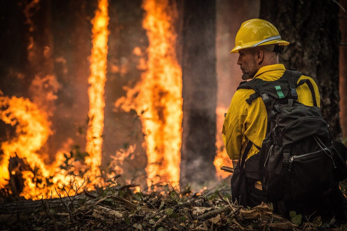 UK Heatwave Triggers Record Wildfires and Emergency Water Bans in 2025